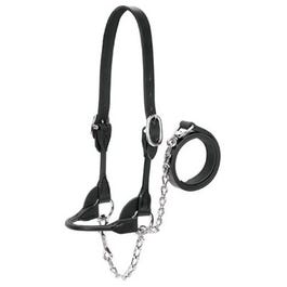 Cattle Show Halter, Black Bridle Leather, Small, 20-In. Chain x 36-In. Lead