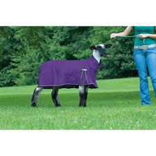 Weaver Leather ProCool™ Sheep Blanket with Reflective Piping (Purple Large)