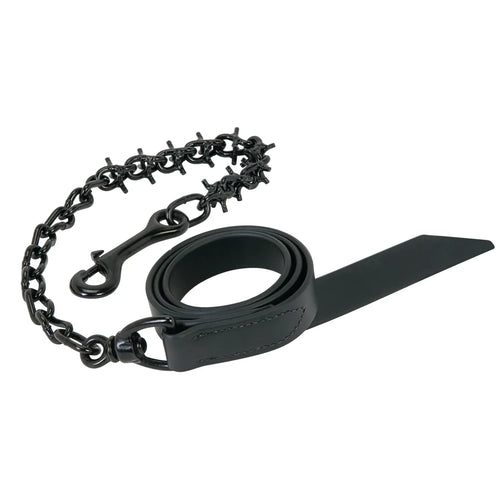 Weaver Leather Pronged Lead Chain