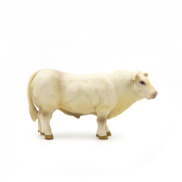 Little Buster Charolais Bull