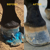 Vetericyn Hoof Care